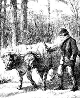 OXEN.PCX