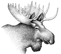 MOOSE.PCX