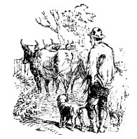 MANCOWS.PCX
