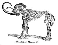 MAMMOTH.PCX