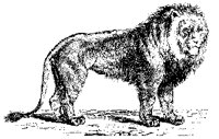 LION.PCX