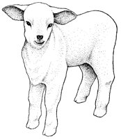 LAMB.PCX