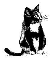 KITTYKAT.PCX