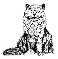 KITTY.PCX