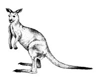 KANGA.PCX