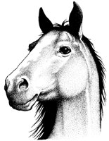 HORSE3.PCX
