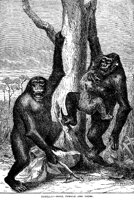 GORILLAS.PCX