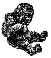 GORILLA.PCX