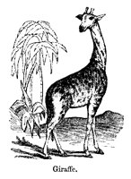 GIRAFFE2.PCX