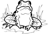 FROGIE.PCX