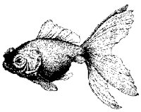 FISH.PCX