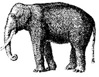 ELEPHANT.PCX