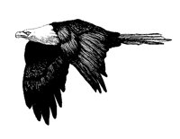 EAGLE.PCX