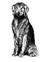 DOG3.PCX
