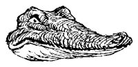 CROCFACE.PCX