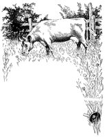 COW.PCX