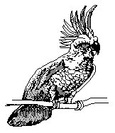 COCKTOO.PCX