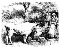 CATTLE2.PCX