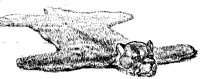 CATRUG.PCX