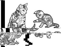 CATFAMLY.PCX