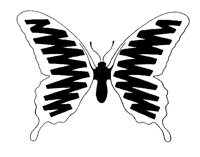 BTRFLY3.PCX