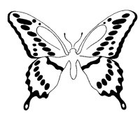 BTRFLY2.PCX