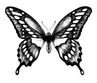 BTRFLY1.PCX