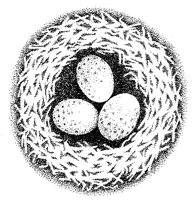 BIRDNEST.PCX