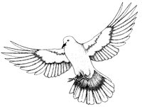 BIRD2.PCX