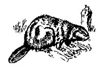 BEAVER.PCX