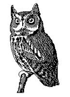 BARNOWL.PCX