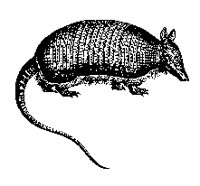 ARMADILO.PCX
