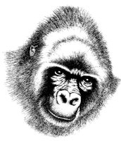 APE2.PCX