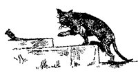 CATMOUSE.PCX