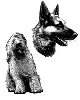 DOGS3.PCX