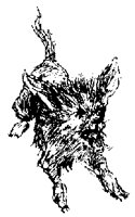 DOG5.PCX
