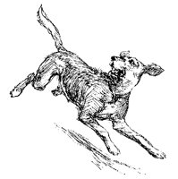 DOG4.PCX