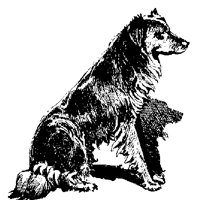 DOG3.PCX