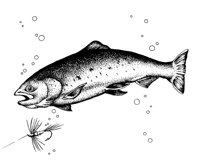 TROUT.PCX
