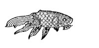 GOLDFISH.PCX