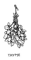 THYME1.PCX