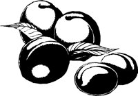 PLUMS.PCX