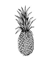 PINEAPPL.PCX