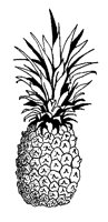 PINAPPLE.PCX