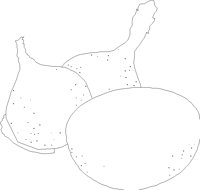 ONIONS1.PCX