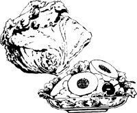 LETTUCE_.PCX