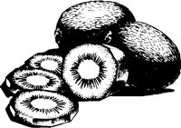 KIWIFRUI.PCX