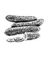 CUKES.PCX