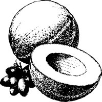 CANTALOU.PCX