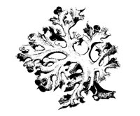 FUNGUS04.PCX